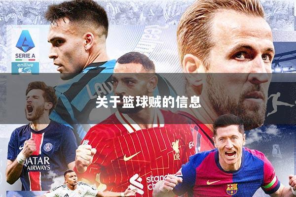 关于篮球贼的信息