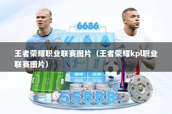 王者荣耀职业联赛图片（王者荣耀kpl职业联赛图片）