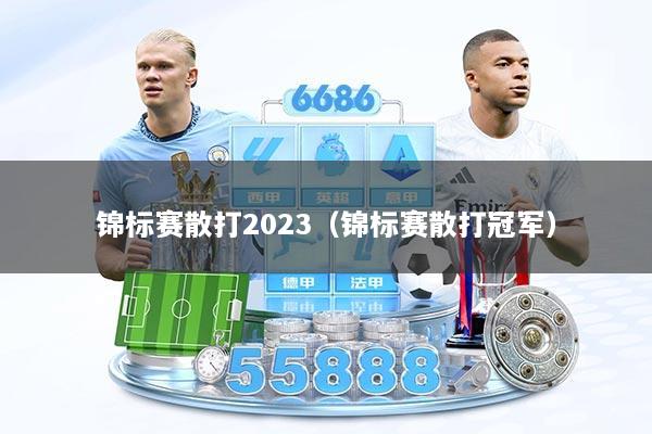 锦标赛散打2023（锦标赛散打冠军）