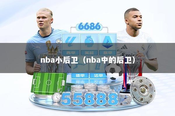 nba小后卫（nba中的后卫）