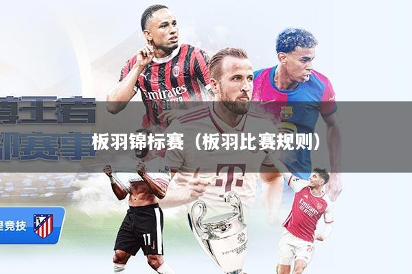 板羽锦标赛（板羽比赛规则）